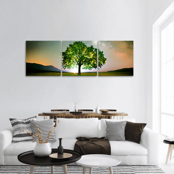 Lonely tree on field under milky way galaxy, Romania Panoramic Canvas Wall Art