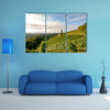 Landscape with wine grapes in the vineyard before harvest, Styria wall art