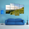 Landscape with wine grapes in the vineyard before harvest, Styria wall art