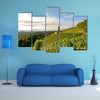 Landscape with wine grapes in the vineyard before harvest, Styria wall art