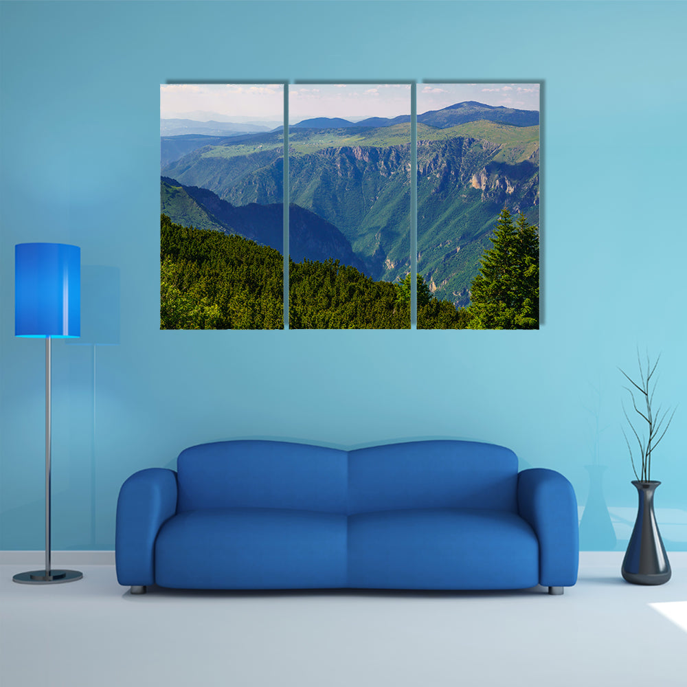 Landscape view and the Tara River Canyon, in Northern Montenegro multi panel canvas wall art