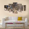 Winter night Multi panel canvas wall art