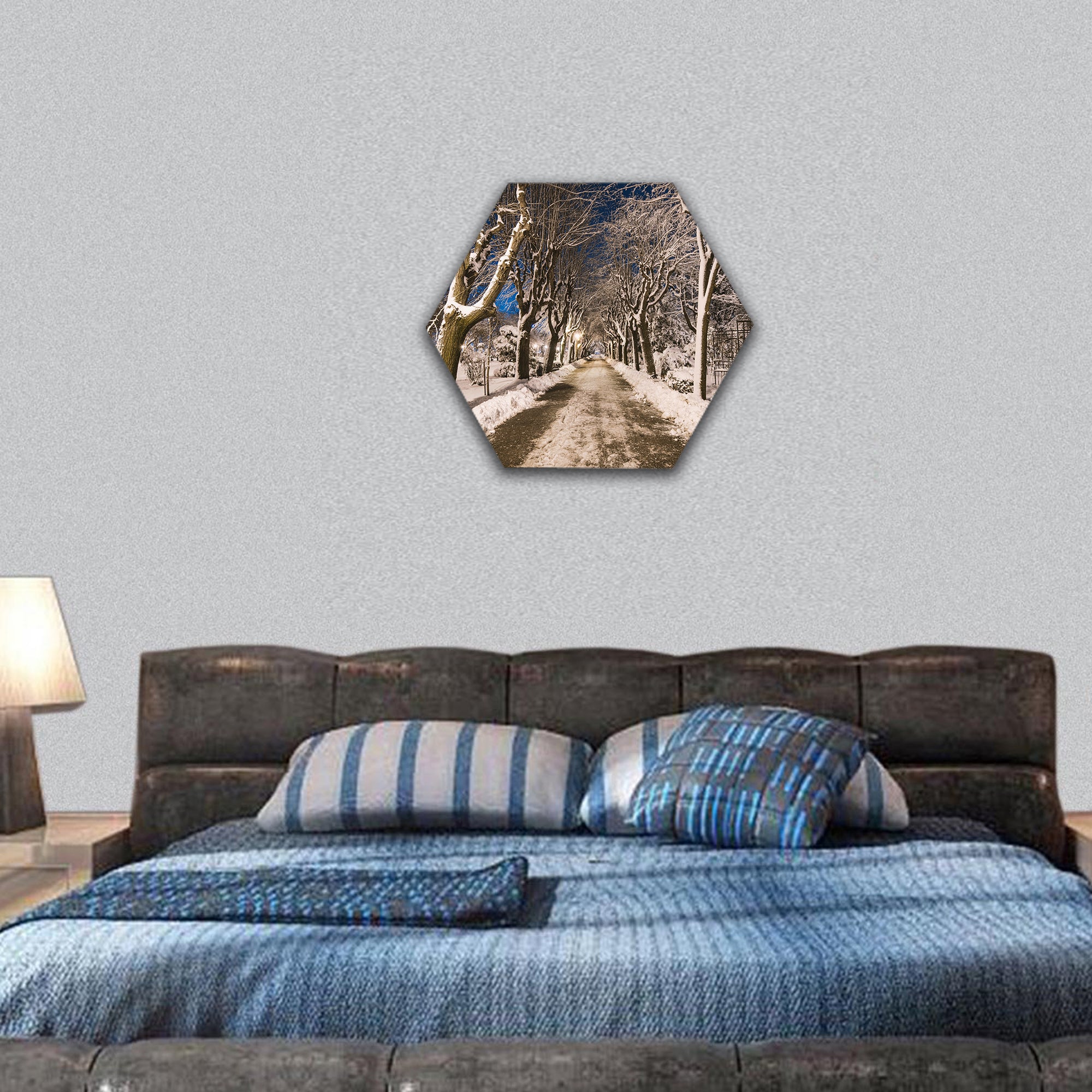 Winter night hexagonal canvas wall art