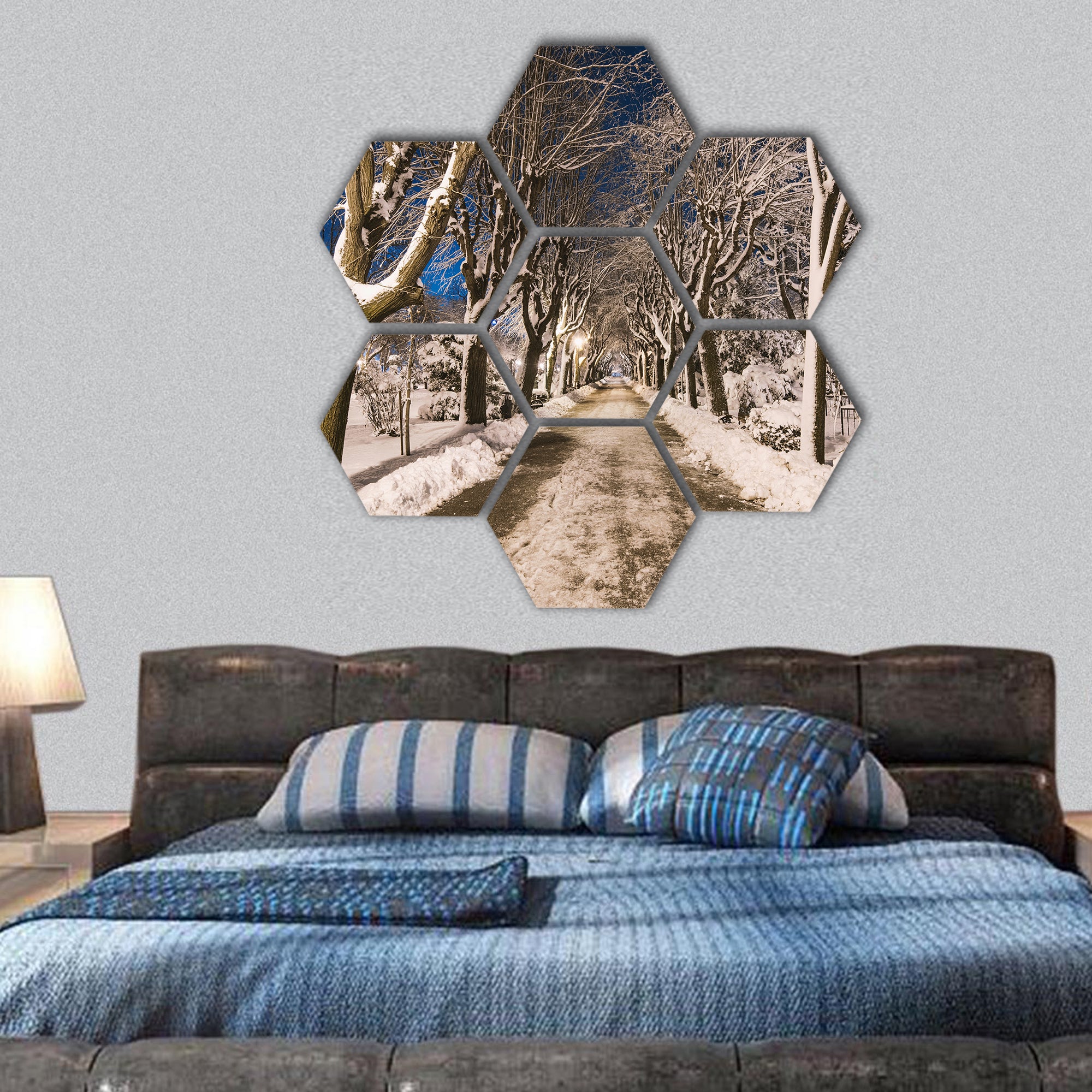Winter night hexagonal canvas wall art