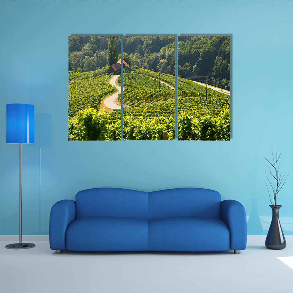 Road in a shape of a heart, Maribor, Slovenia multi panel canvas wall art