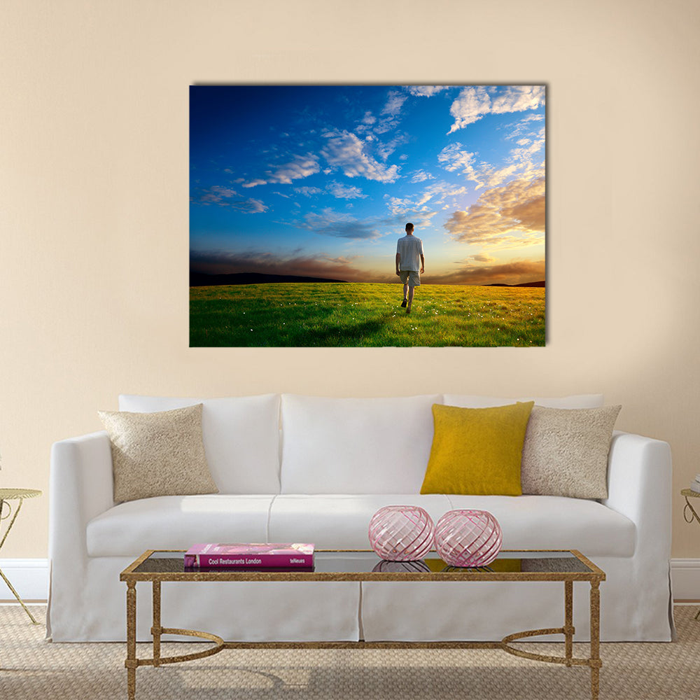 One man and field of spring grass and sunset, Multi panel canvas wall art