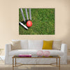 A red leather cricket ball lying in green grass Multi panel canvas Wall art