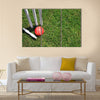 A red leather cricket ball lying in green grass Multi panel canvas Wall art