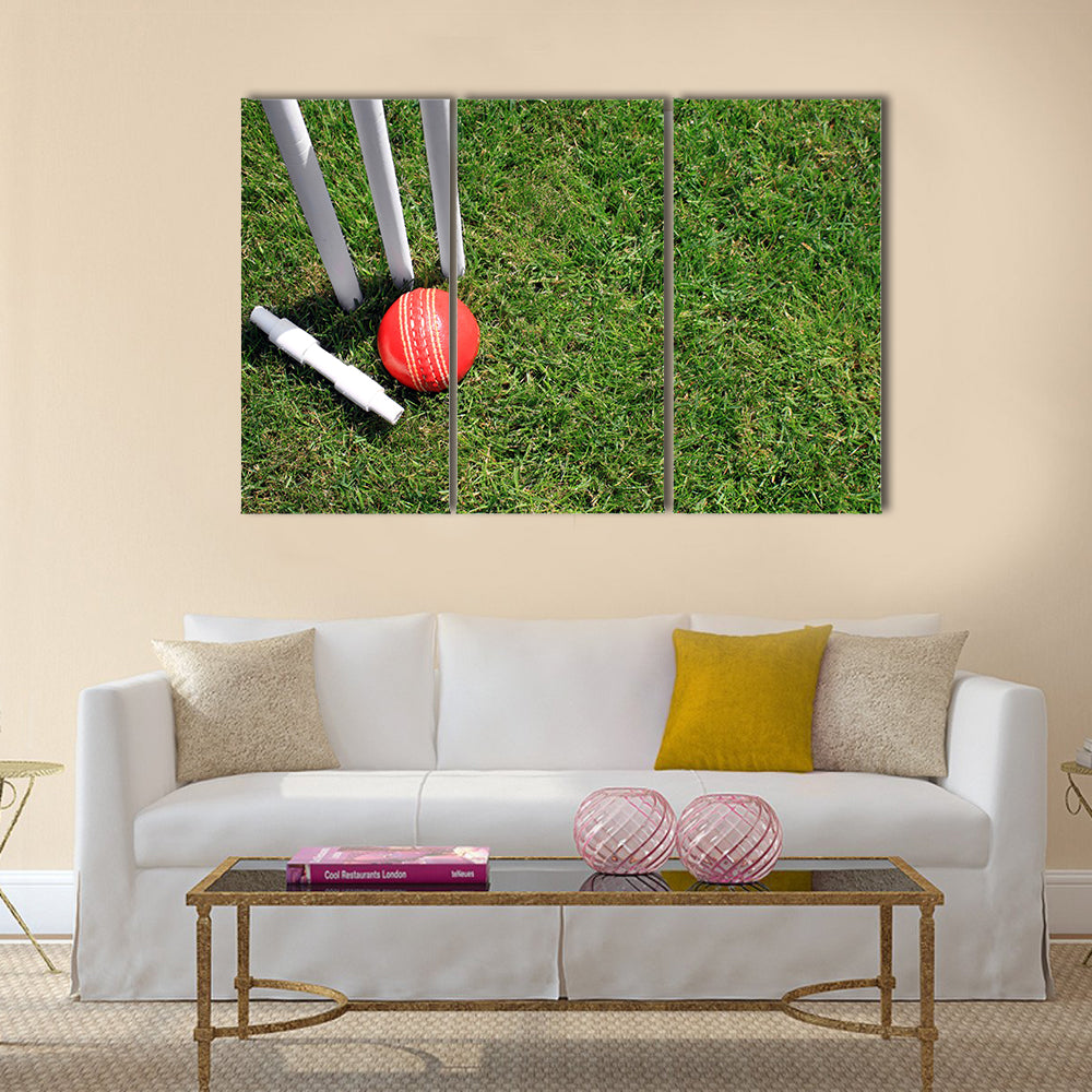 A red leather cricket ball lying in green grass Multi panel canvas Wall art