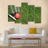 A red leather cricket ball lying in green grass Multi panel canvas Wall art