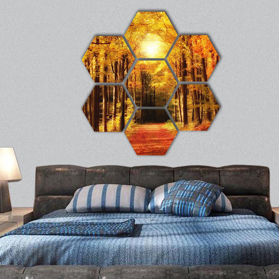 The forest in autumn - colorful hexagonal canvas wall art