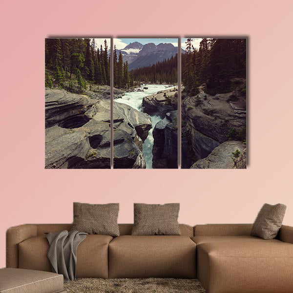 Scenic views of the Athabasca River, Jasper National Park, Alberta, wall art