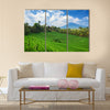 Beautiful sight of Balinese bright green rice growing on tropical field multi panel canvas wall art