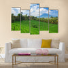 Beautiful sight of Balinese bright green rice growing on tropical field multi panel canvas wall art