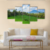 Beautiful sight of Balinese bright green rice growing on tropical field multi panel canvas wall art