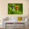 Hummingbird Green Heliodoxa jacula, green bird feeding Multi panel canvas wall art