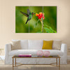 Hummingbird Green Heliodoxa jacula, green bird feeding Multi panel canvas wall art