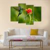 Hummingbird Green Heliodoxa jacula, green bird feeding Multi panel canvas wall art