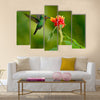 Hummingbird Green Heliodoxa jacula, green bird feeding Multi panel canvas wall art