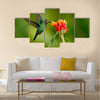 Hummingbird Green Heliodoxa jacula, green bird feeding Multi panel canvas wall art