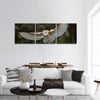 Barn owl  with wings panoramic canvas wall art