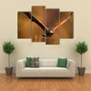 Flying bird of prey, Harris Hawk, Parabuteo unicinctus, in grass Multi Panel Canvas Wall Art