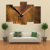 Flying bird of prey, Harris Hawk, Parabuteo unicinctus, in grass Multi Panel Canvas Wall Art