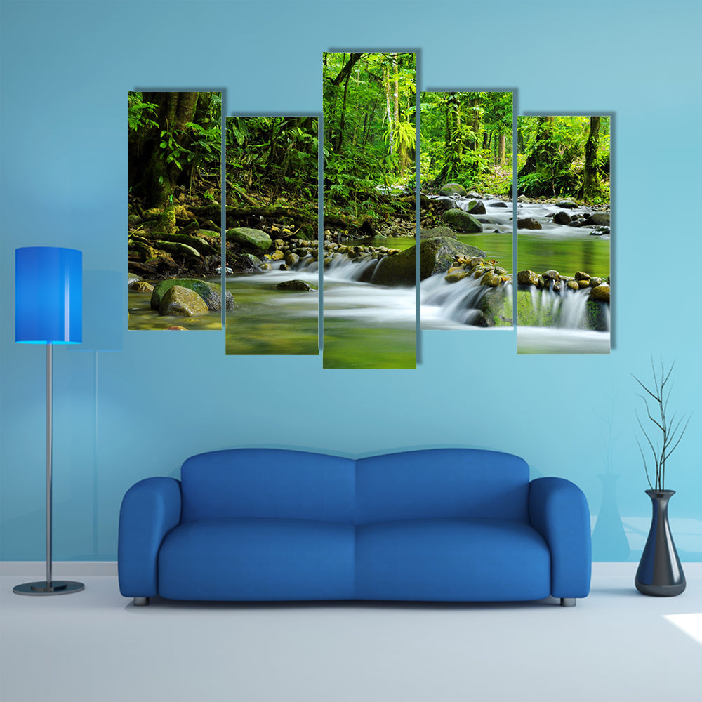A Mountain stream in a tropical rain forest multi panel canvas wall art