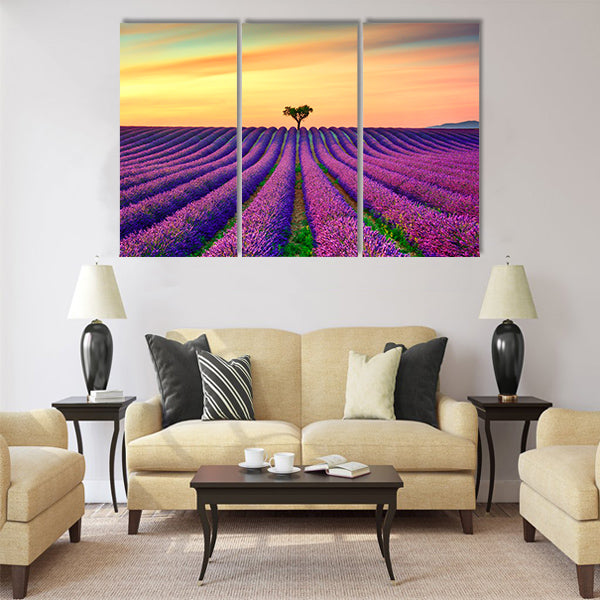 Lavender flowers blooming field Multi Panel Canvas Wall Art