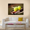 A shot of a tennis racquet and tennis balls Multi panel canvas wall art