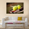 A shot of a tennis racquet and tennis balls Multi panel canvas wall art