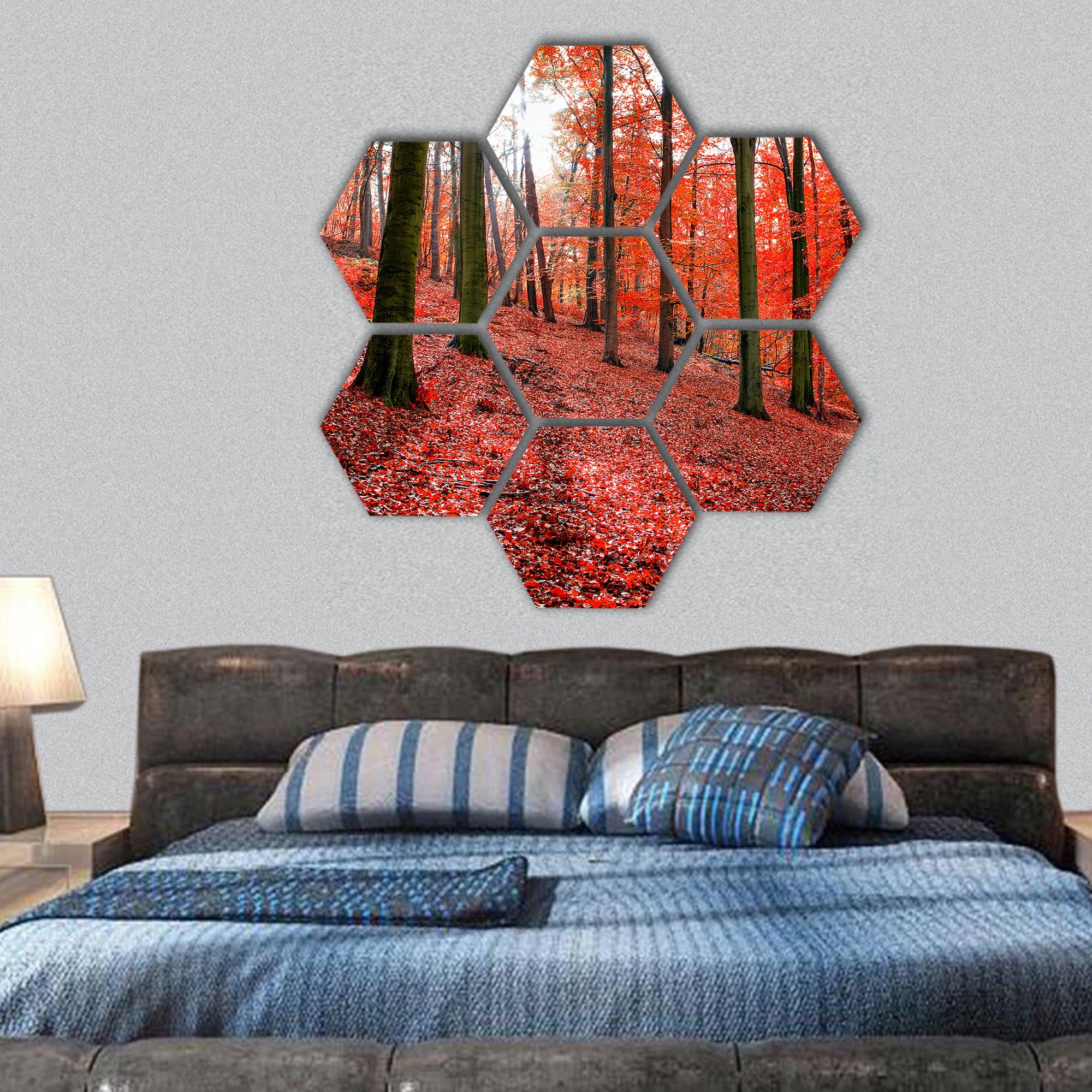 Trees with red autumn leafs in Sonian Forest near Brussels hexagonal canvas wall art