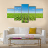 Growing corn field, green agricultural landscape Multi panel canvas wall art