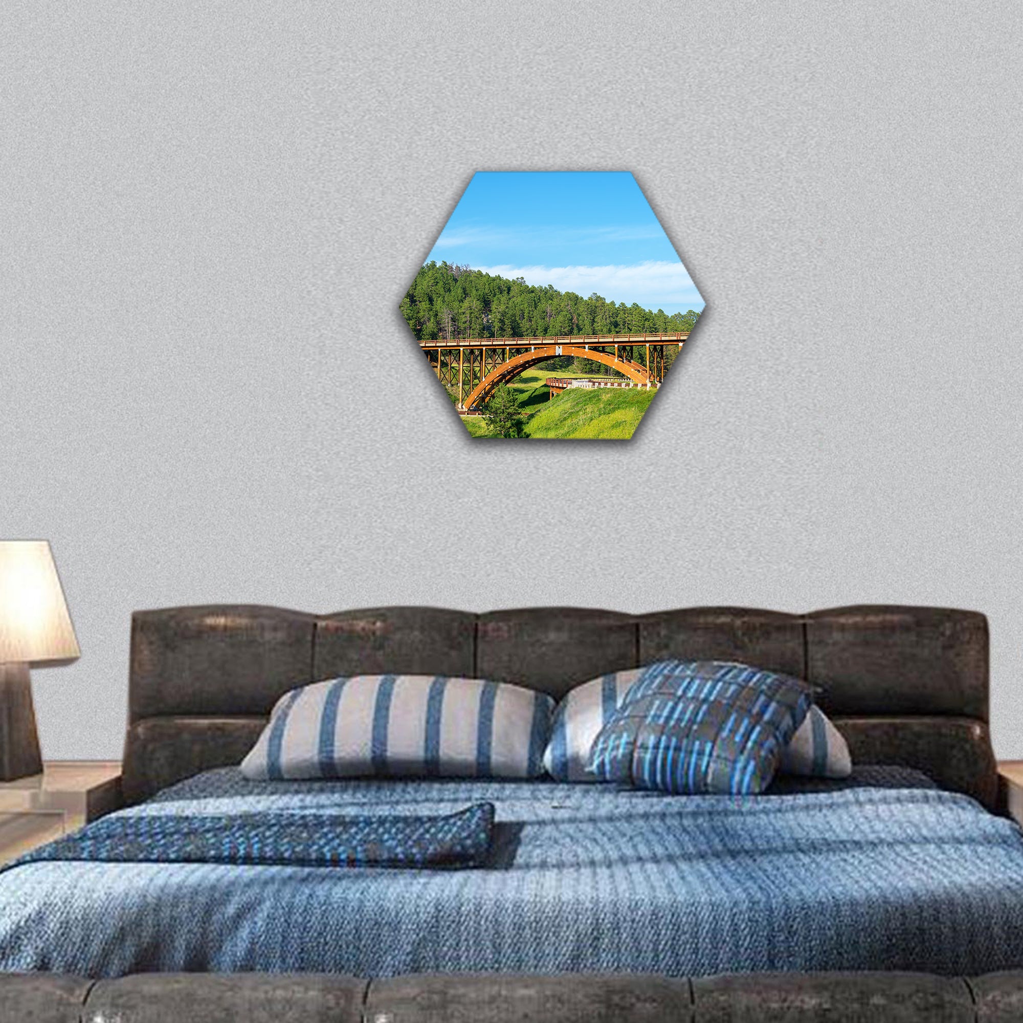 Highway overpass in the Hills, South Dakota hexagonal canvas wall art
