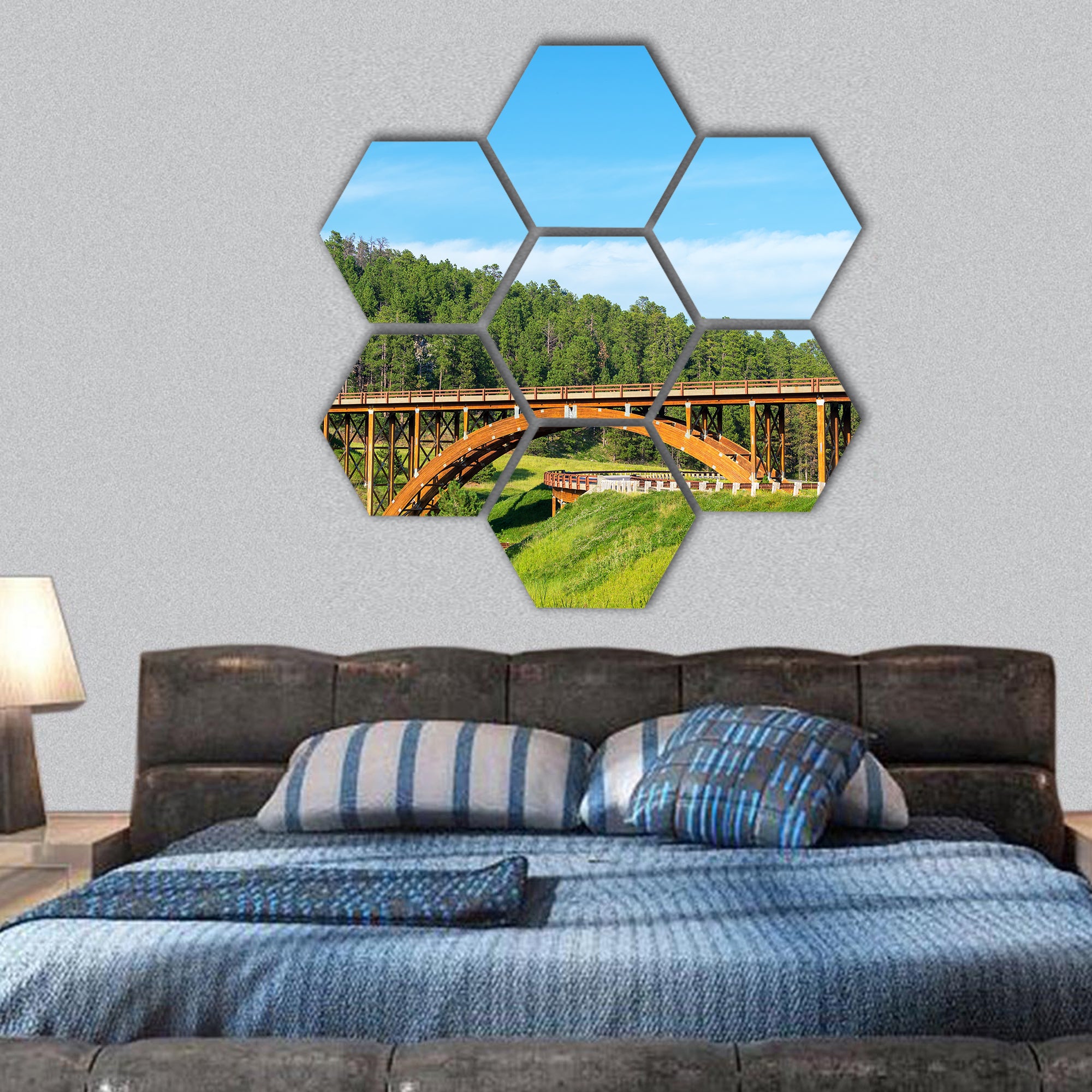 Highway overpass in the Hills, South Dakota hexagonal canvas wall art