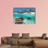 Caribbean Sea scenery with green turtle in Mexico multi panel canvas wall art