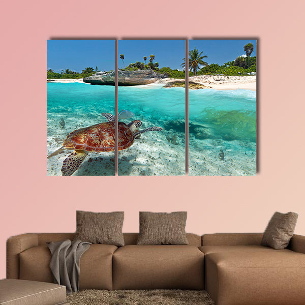 Caribbean Sea scenery with green turtle in Mexico multi panel canvas wall art