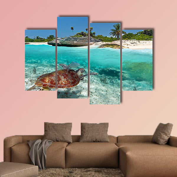 Caribbean Sea scenery with green turtle in Mexico multi panel canvas wall art