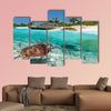 Caribbean Sea scenery with green turtle in Mexico multi panel canvas wall art