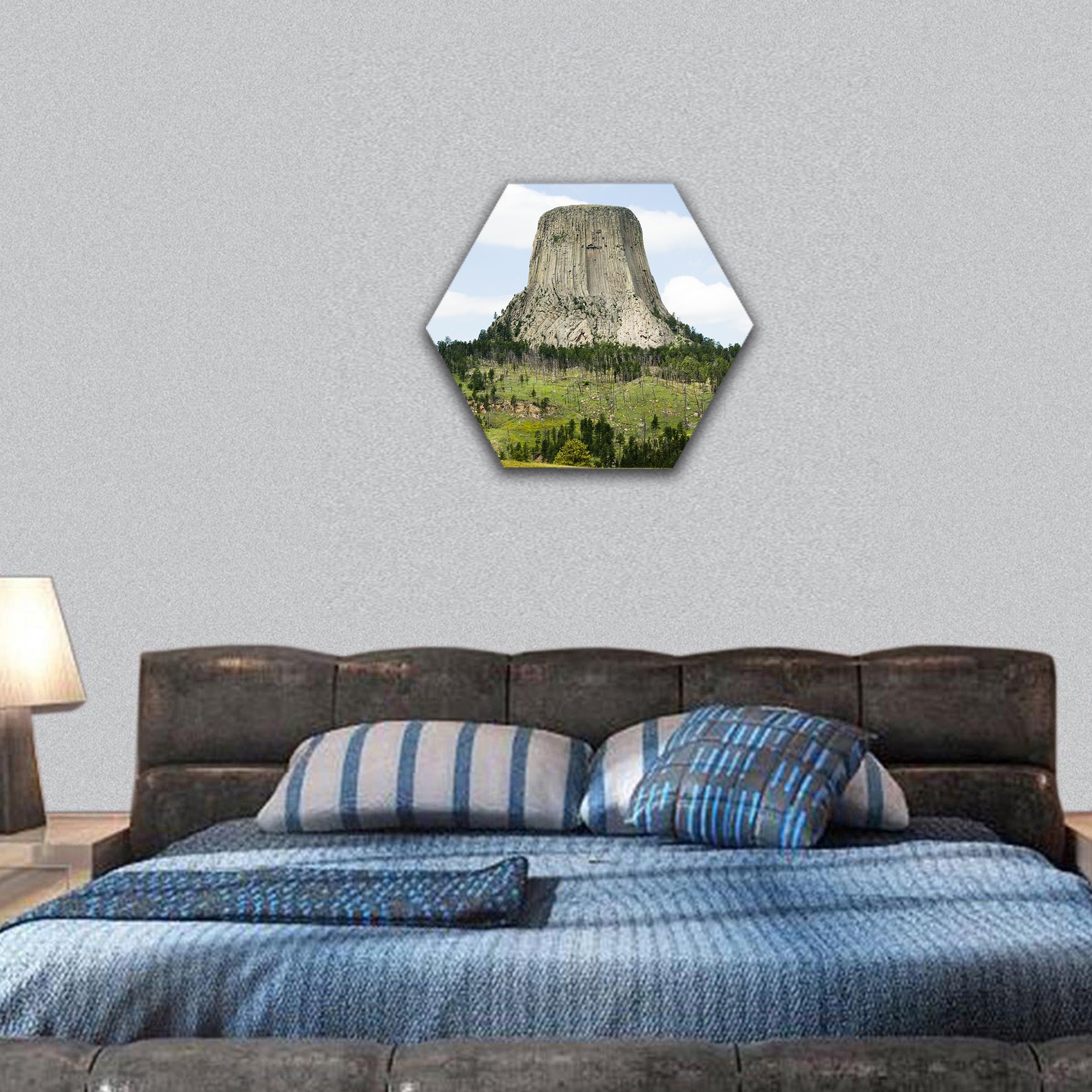Devils Tower National Monument in Wyoming hexagonal canvas wall art