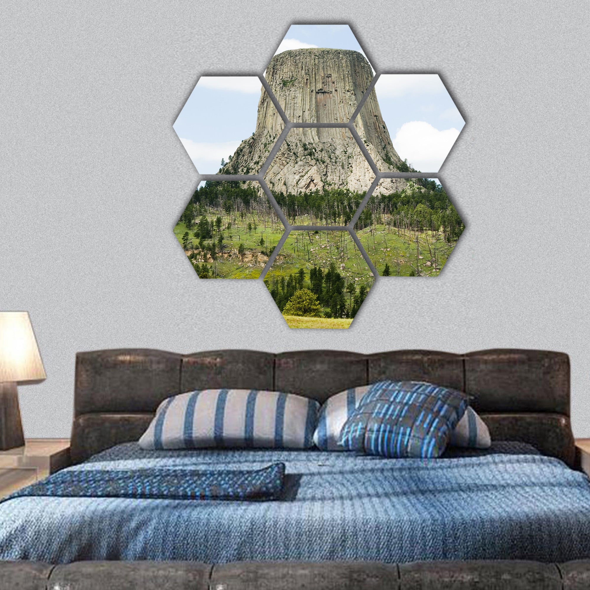 Devils Tower National Monument in Wyoming hexagonal canvas wall art