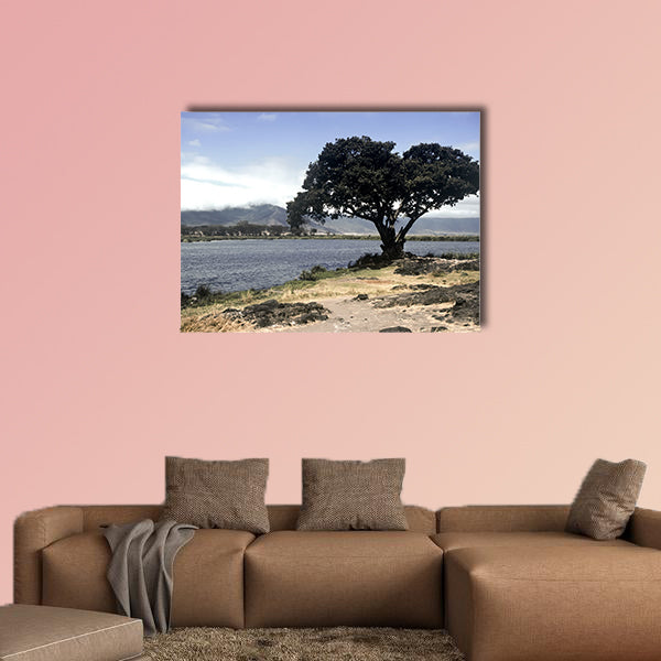 Lake and tree in Ngorongoro Crater, Tanzania multi panel canvas wall art