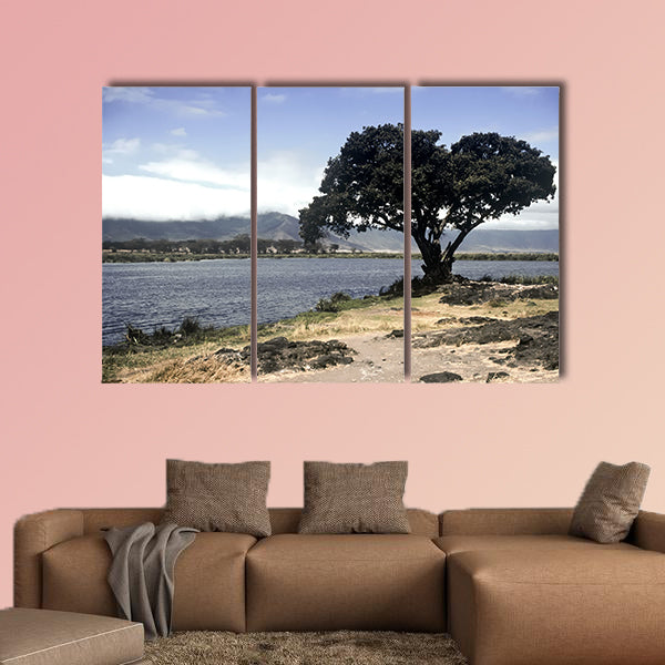 Lake and tree in Ngorongoro Crater, Tanzania multi panel canvas wall art