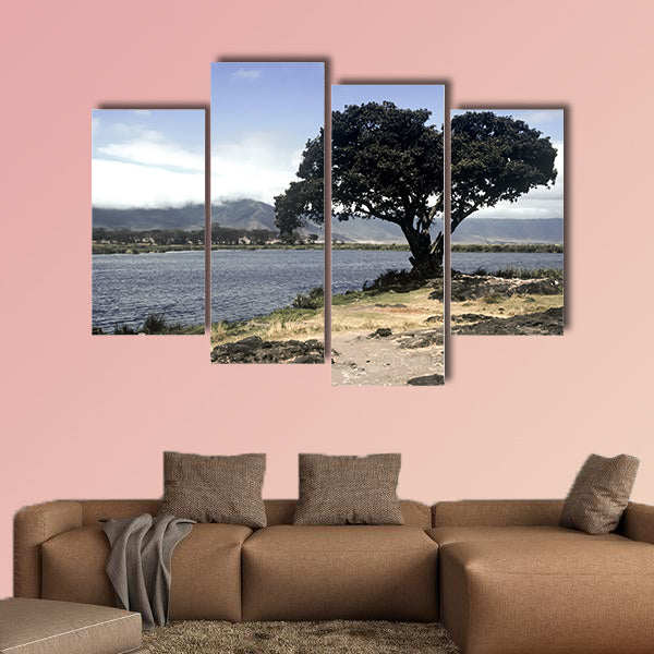 Lake and tree in Ngorongoro Crater, Tanzania multi panel canvas wall art