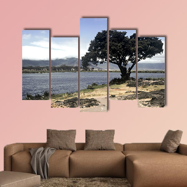 Lake and tree in Ngorongoro Crater, Tanzania multi panel canvas wall art
