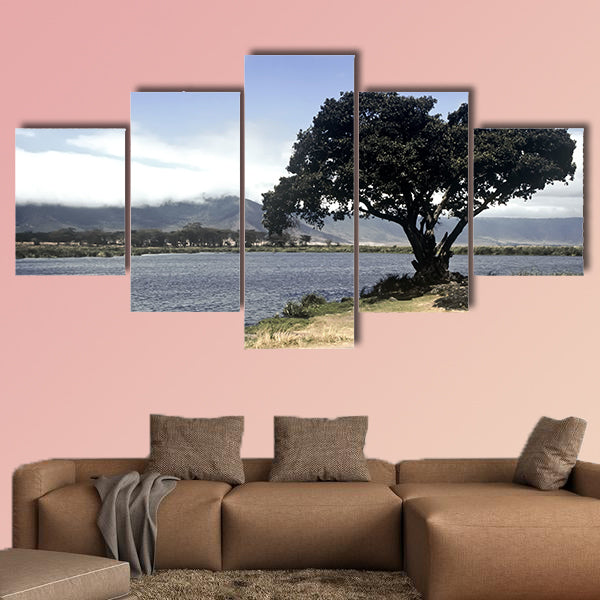 Lake and tree in Ngorongoro Crater, Tanzania multi panel canvas wall art