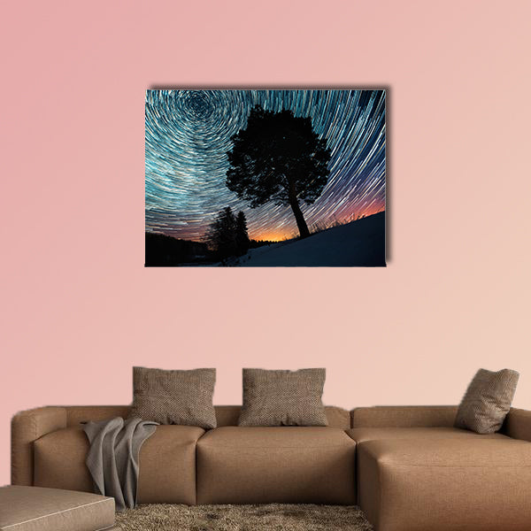 Star trails on a winter sky and pine tree in a snowy field