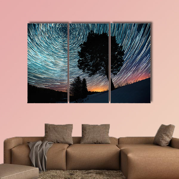 Star trails on a winter sky and pine tree in a snowy field