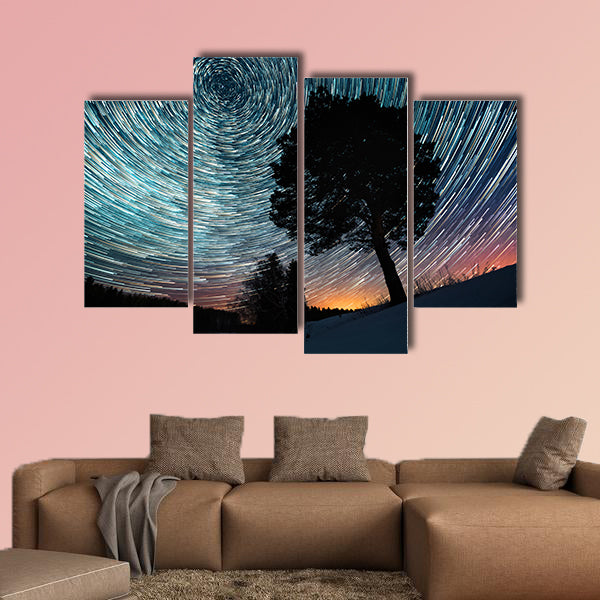 Star trails on a winter sky and pine tree in a snowy field