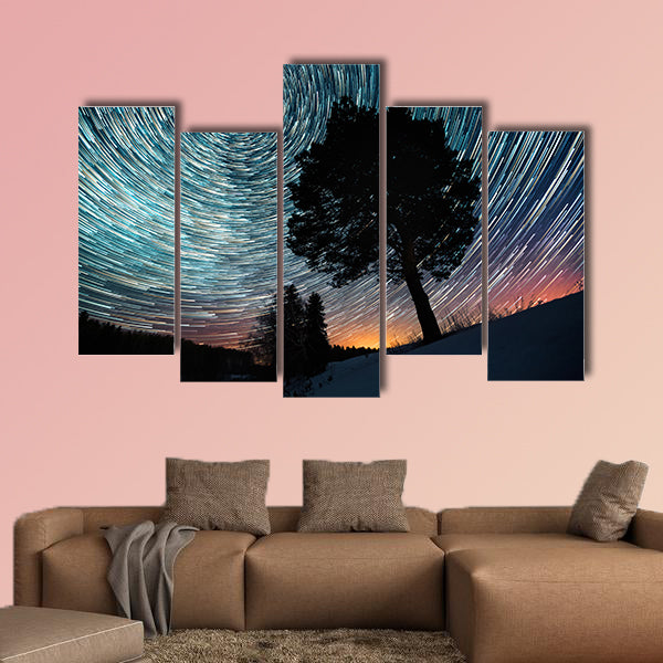 Star trails on a winter sky and pine tree in a snowy field